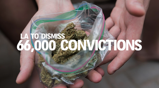 LA will Dismiss 66,000 Cannabis Convictions