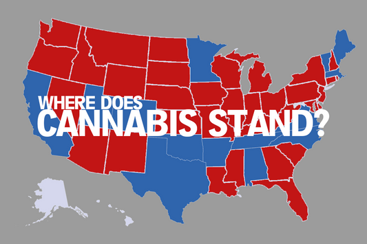 Super Tuesday: Where Does Cannabis Stand?