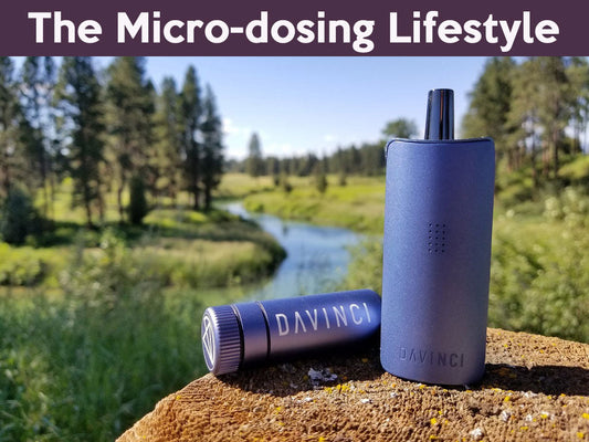 MICRO-DOSING – It’s Not Just A Rising Trend, It’s A Lifestyle!