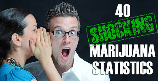 40 Shocking Marijuana Statistics You Should Know